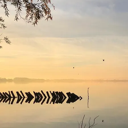 Stunning In Lembruch-dmmer See With Sauna, Wifi And Indoor Swimming Pool Dom wakacyjny